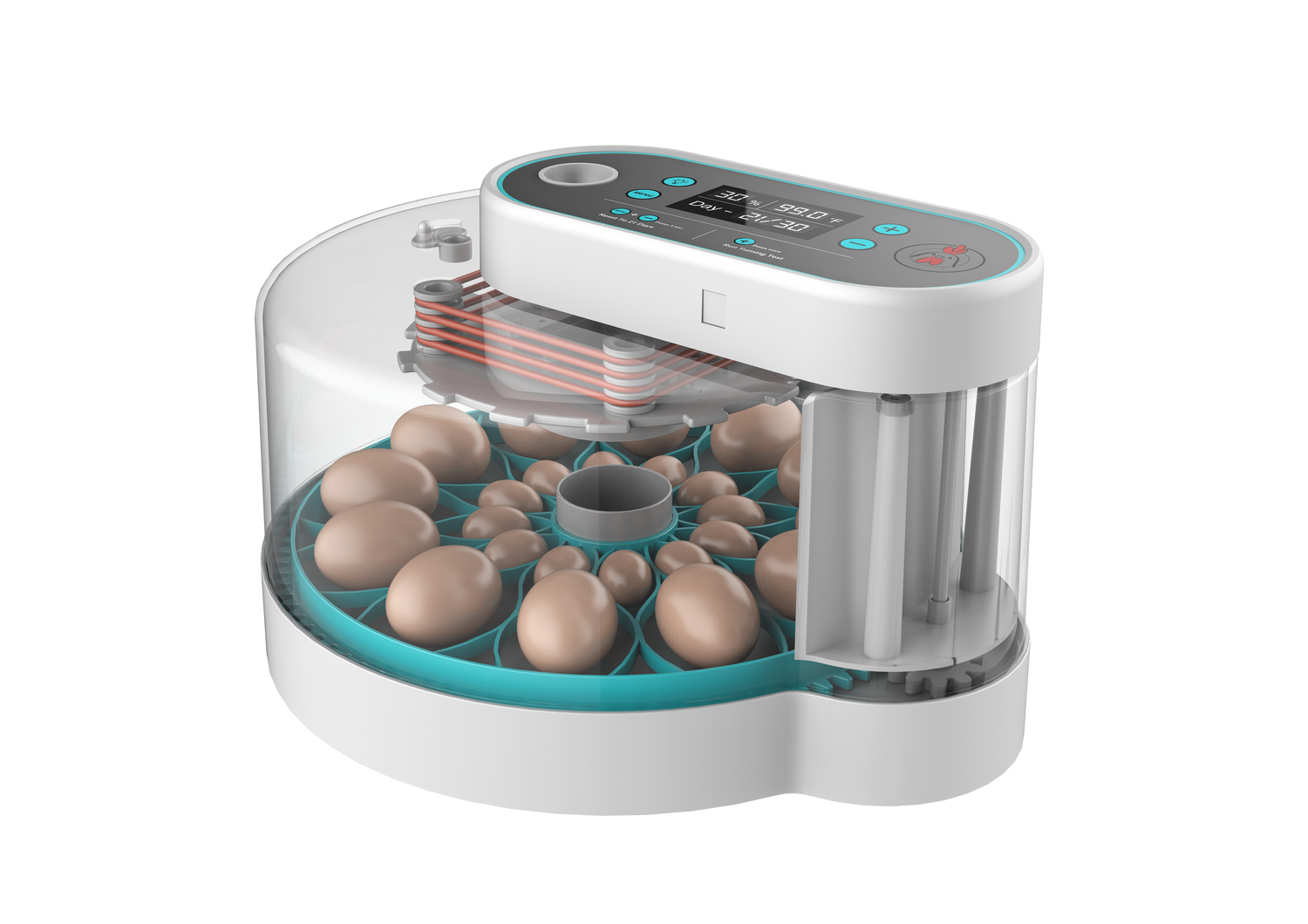 Incubator and Brooder