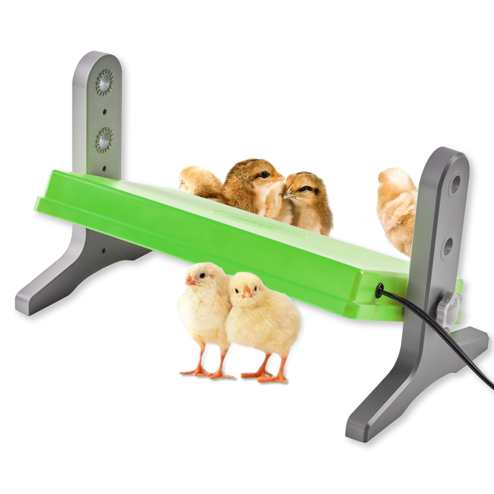 Fuzzy-Bird Enhanced Coop Heater Heating Panel for Chicken - 2024 Upgraded