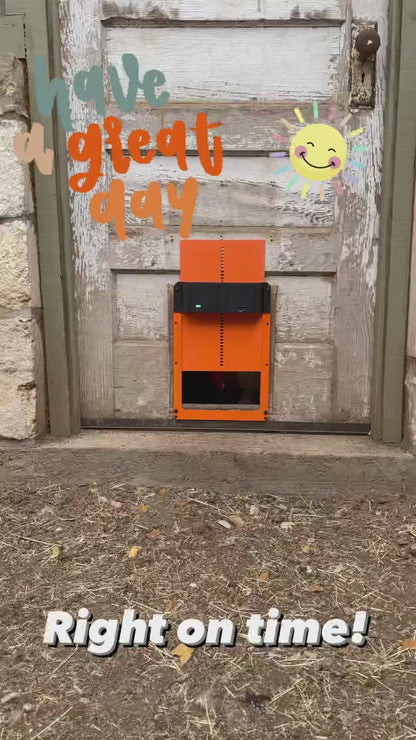 Fuzzy-Bird Automatic Chicken Coop Door Full Metal Door Battery Powered Orange