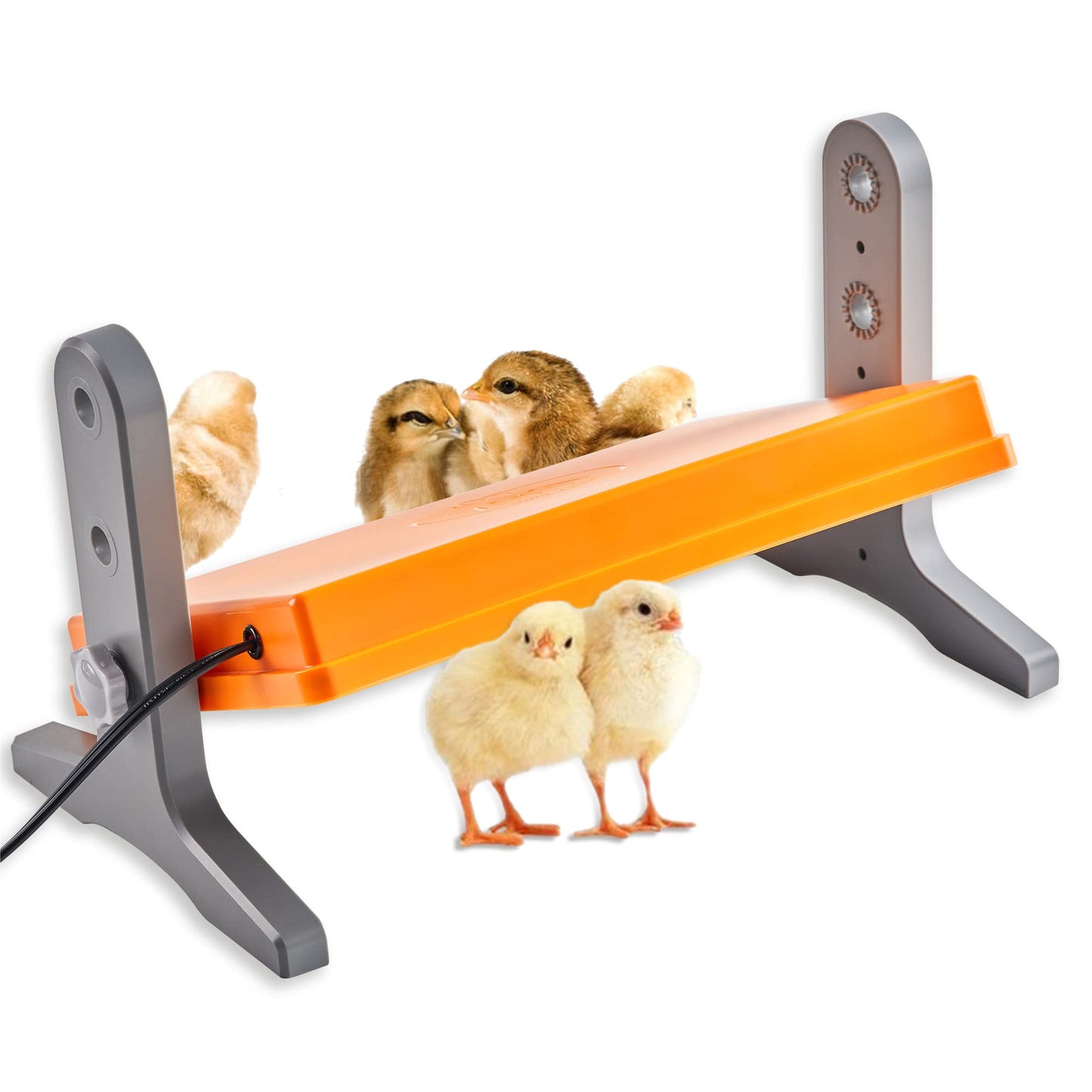 Fuzzy-Bird (12''*8'') Chick Brooder Height Angle Adjustable